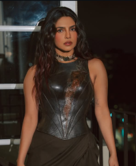 Priyanka Chopra Jonas